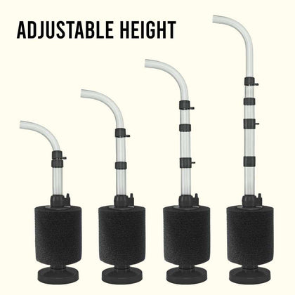 small_asjustable_height_black_sponge_fine_ivory