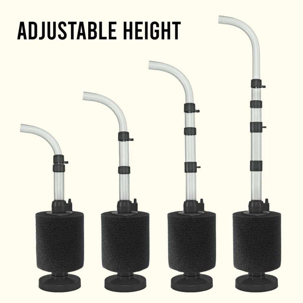 small_asjustable_height_black_sponge_fine_ivory