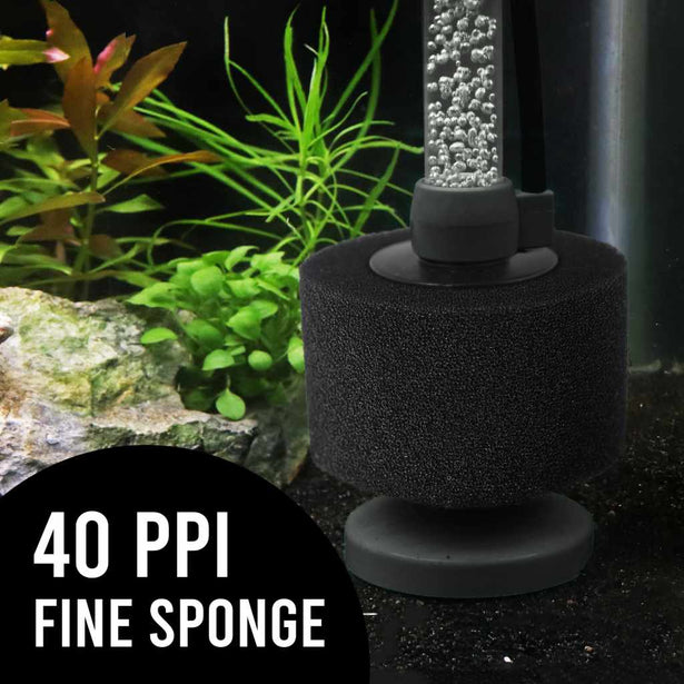 small_black_sponge_fine_in_tank