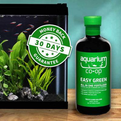 small_easy_green_30_day_guarantee_dosing_cap_238d31cb-4e01-4c8f-be55-46f5f72990ff