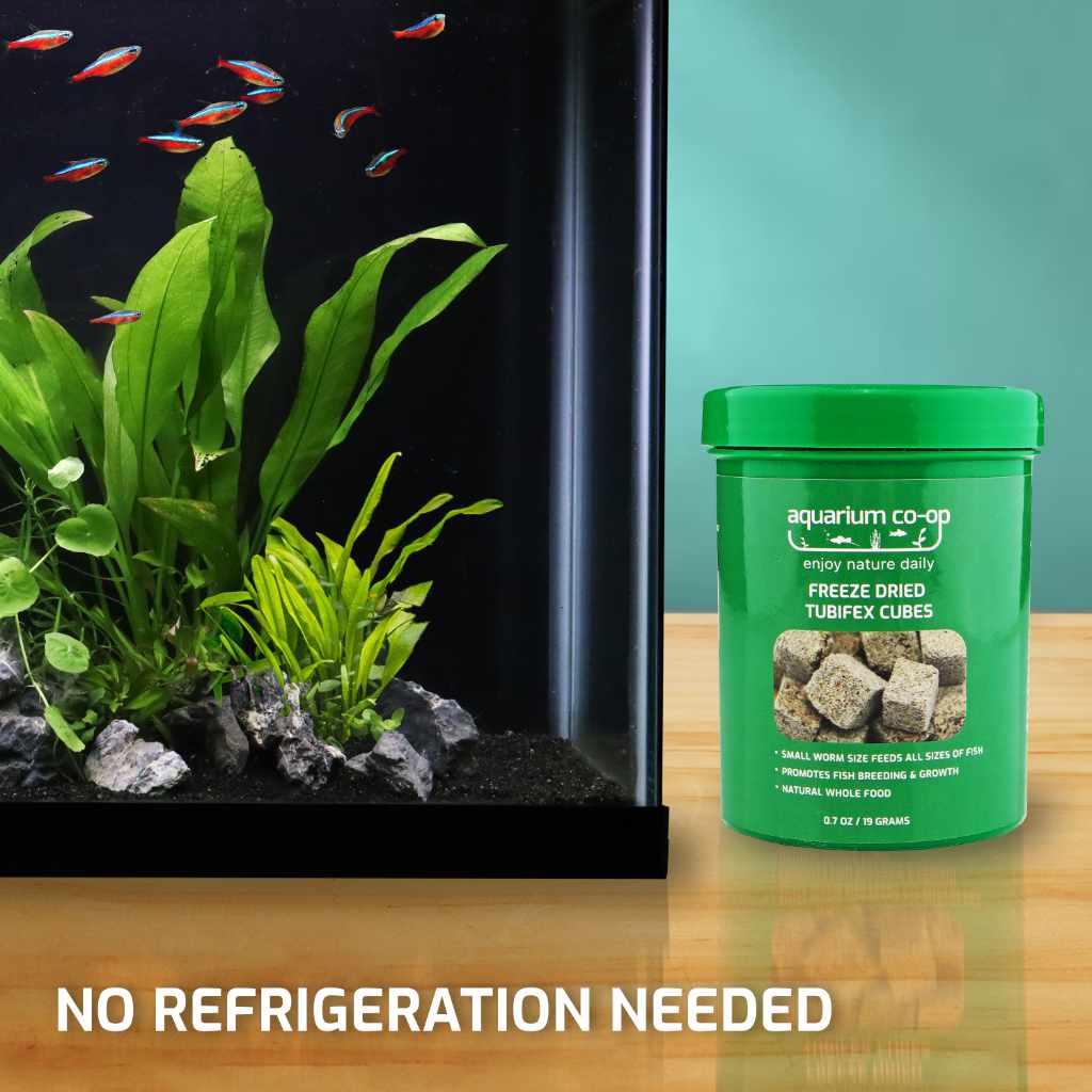 Photo inspiration: Picture Idea: Aquarium Co Op Freeze Dried Tubifex Worms