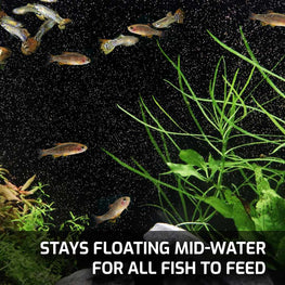 small_magic_nano_feed_cpds_guppies_text_44d37d67-4da9-41f6-9e0a-f73efb4783d2