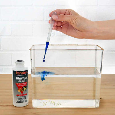 small_meth_blue_catch_cup_corydoras_eggs