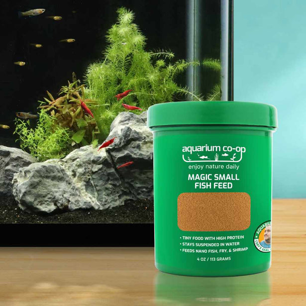 small_res_magic_small_fish_feed__in_front_of_tank