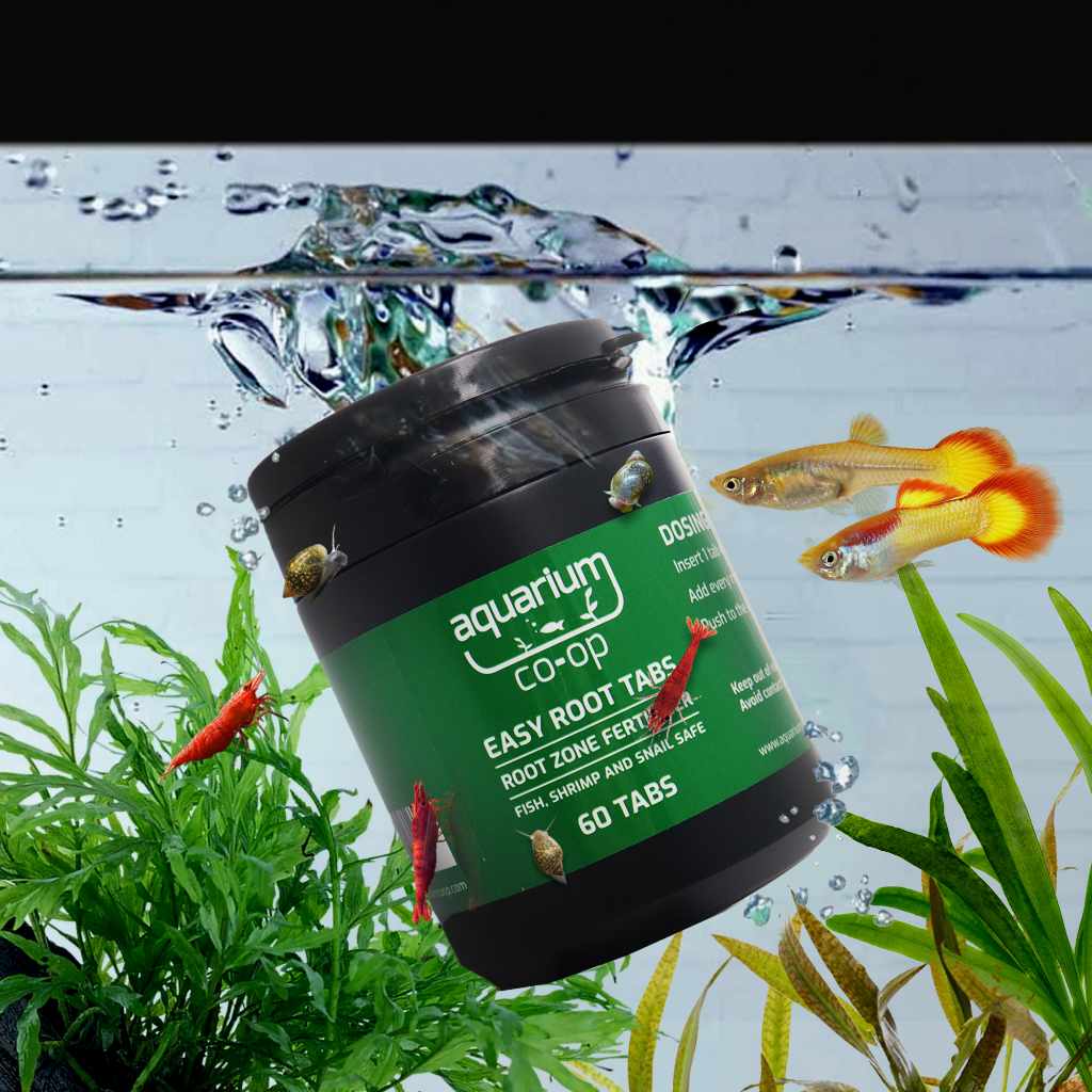 Easy Root Tabs | Aquarium Plant Fertilizer Made of Enriched Soil ...
