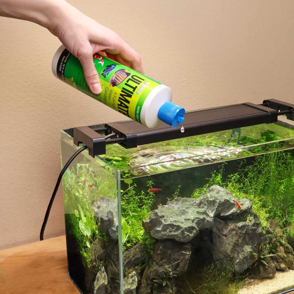 19+ Dechlorinator For Fish Tank