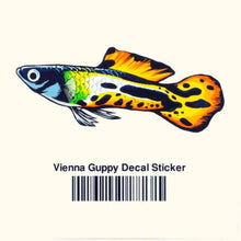 Load image into Gallery viewer, Aquarium Co-Op Merchandise Vienna Guppy Decal Sticker
