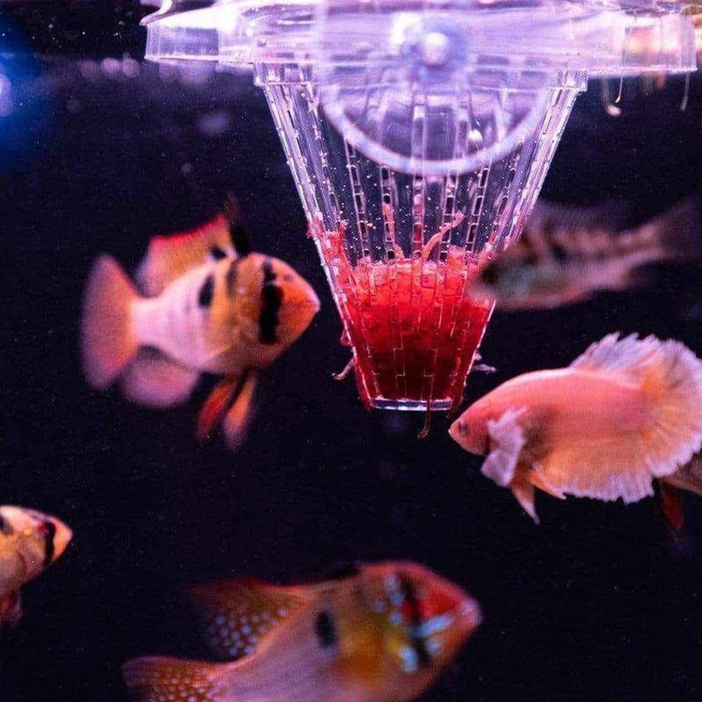 Worm Feeder Cone  Aquarium Basket to Hold Live and Frozen Worms – Aquarium  Co-Op