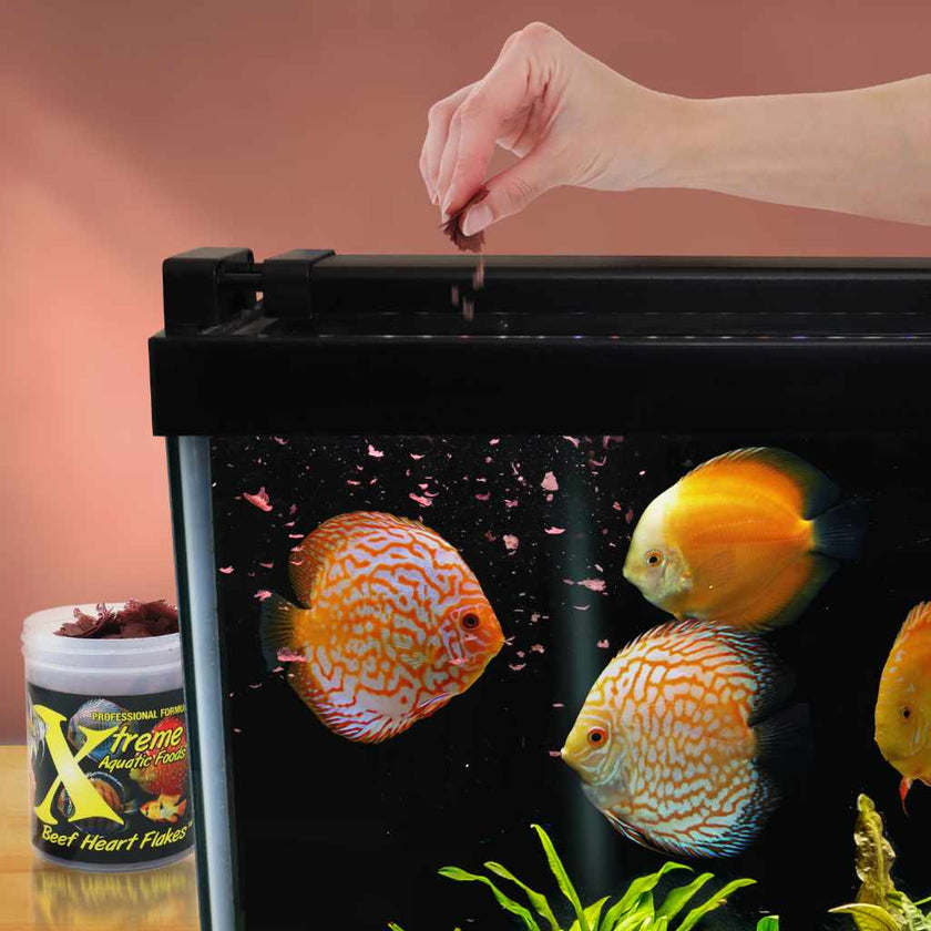 xtreme-beef-heart-flakes-1658390