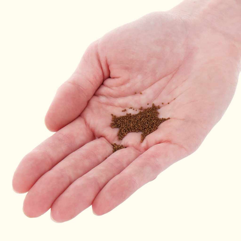 xtreme-betta-pellets-1mm-5731015