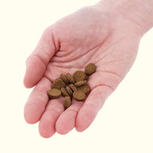 Load image into Gallery viewer, Xtreme Bottom Wafers - Aquarium Co - Op
