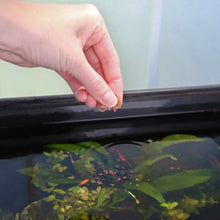 Load image into Gallery viewer, Xtreme Community Crave Flakes - Aquarium Co - Op
