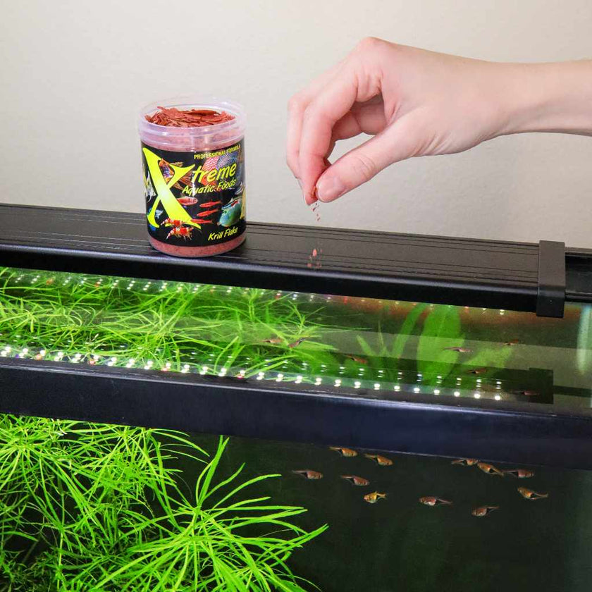 xtreme-krill-flakes-4017622