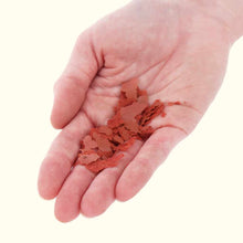 Load image into Gallery viewer, Xtreme Krill Flakes - Aquarium Co - Op
