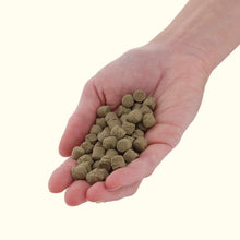 Load image into Gallery viewer, Xtreme Monster - Aquarium Co - Op
