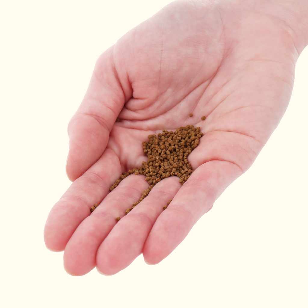 Xtreme 1.5mm Slow Sinking Pellets Aquarium Fish Food Pellets Aquarium Co Op