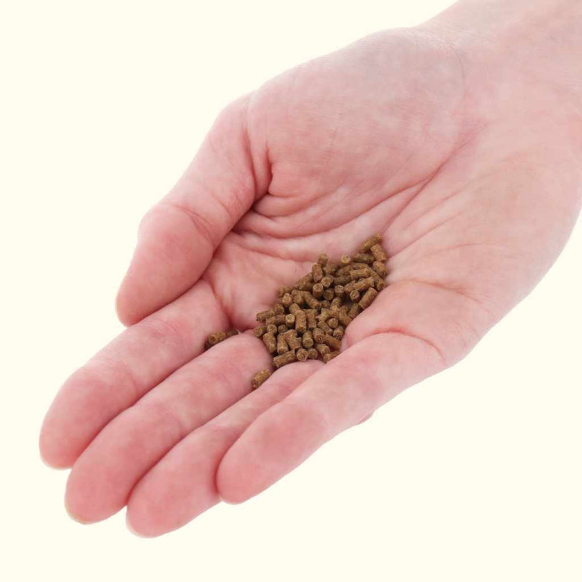 xtreme-shrimpee-sinking-sticks-2306490