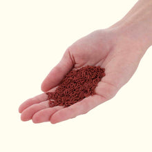 Load image into Gallery viewer, Xtreme Wrigglers - Aquarium Co - Op
