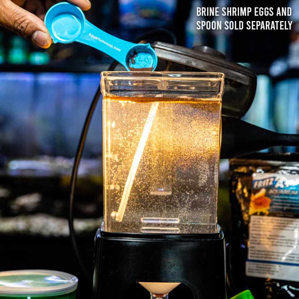 Ziss Brine Shrimp Hatchery Live Brine Shrimp for Feeding Baby Fish
