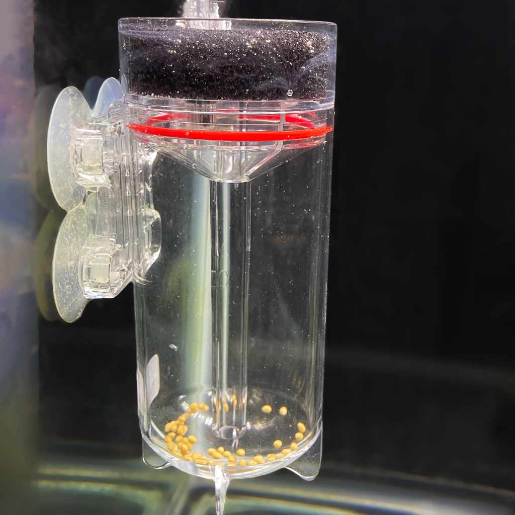 Ziss Egg Tumbler Aquarium Fish Egg Incubator for Cichlids More Aquarium Co Op